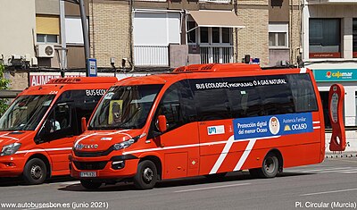 Línea R80 (Transportes de Murcia)