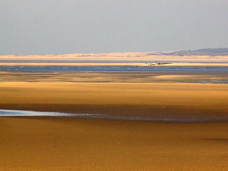 File:Baie de somme.jpg