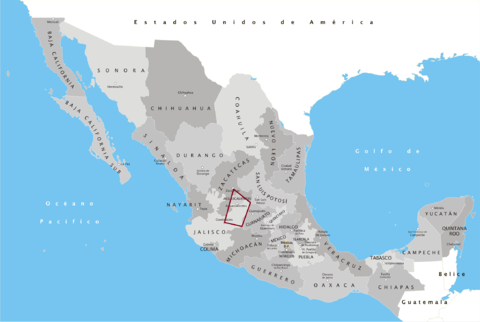 Municipio De San Miguel El Alto: Heráldica, Historia, Demografía