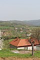 Балиновић - панорама