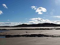 Bamburgh Dunes seen from the beach. Bamburgh Dunes (2).JPG