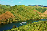 The Douro river in Northern Portugal. Barco turistico no Rio Douro e Vale do Coa 2.jpg