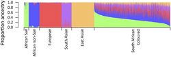 A genetic clustering of South African Coloured and five source populations. Each vertical bar represents individual. Barplots of ancestry proportions South African Coloured population estimated using genome-wide data.png