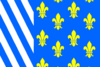 Vlag van Bellingwedde