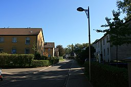 Zum Froschkönig Bergisch Gladbach