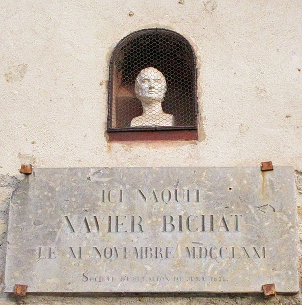 File:Bichat's birthplace - Bust & plaque.jpg