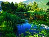 Biotope Lake of Gargazzone - Photo by Giovanni Ussi - Lake and surrounding vegetation (101) 14.jpg