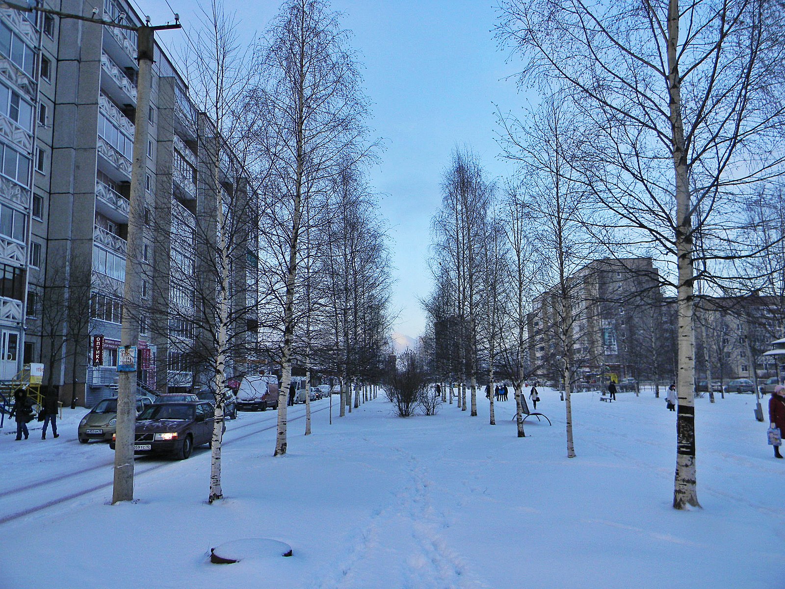 Березовая аллея 25 петрозаводск фото