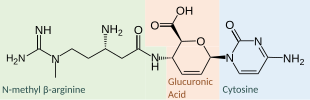 Color overlay showing constituent parts of Blasticidin S Blasticidin S Chemistry.svg