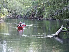 Kayaking on the Blue Spring Outlet