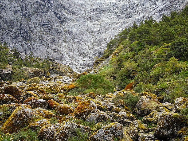 File:Bosque Encantado Parque Nacional Queulat.jpg