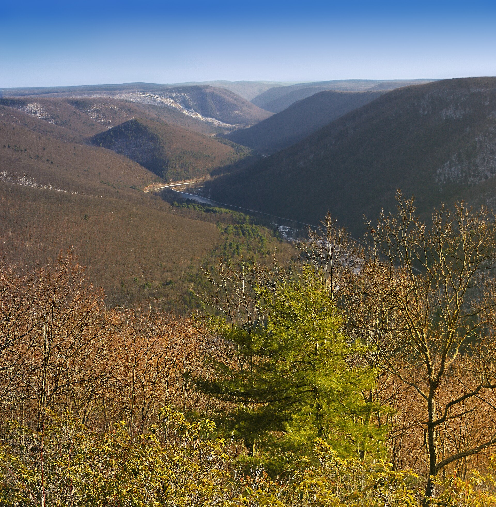 Pine Creek Gorge