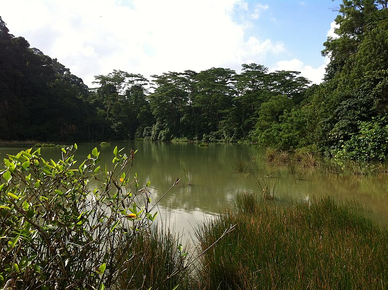File:Bukit Panjang 旧采矿场 - panoramio.jpg