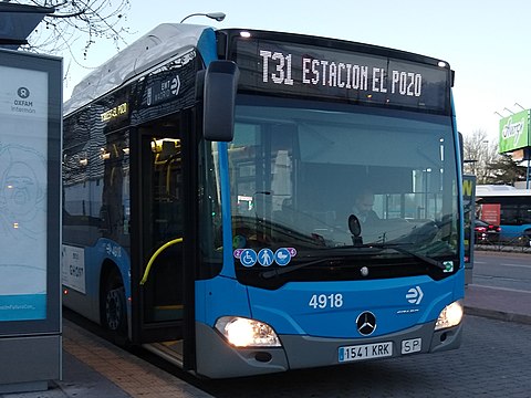 Línea T31