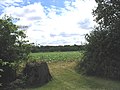 Cabbage Field, Sandpit Lane, Pilgrims Hatch, Essex - geograph.org.uk - 25983.jpg