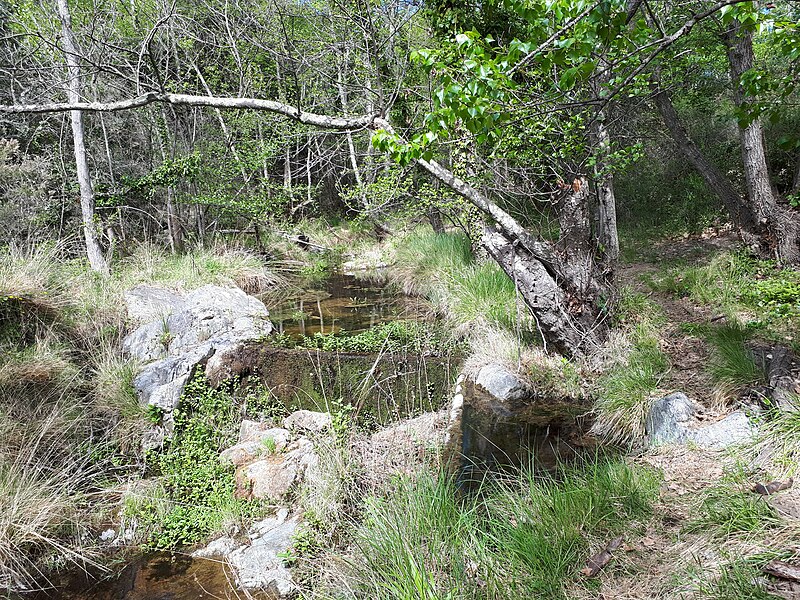 File:Canal rivière La Crabayrisse Bélesta.jpg