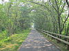 The Cape Cod Rail Trail in Brewster