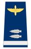 Capona primer teniente fuerza aerea.svg