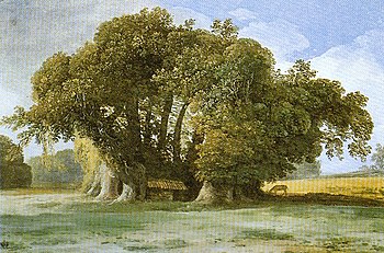 CHESTNUT-TREE OF 100 HORSES