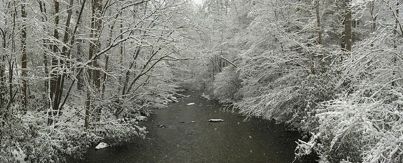 File:Cataloochee Creek (4504241273).jpg