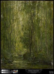 Woodland Scene