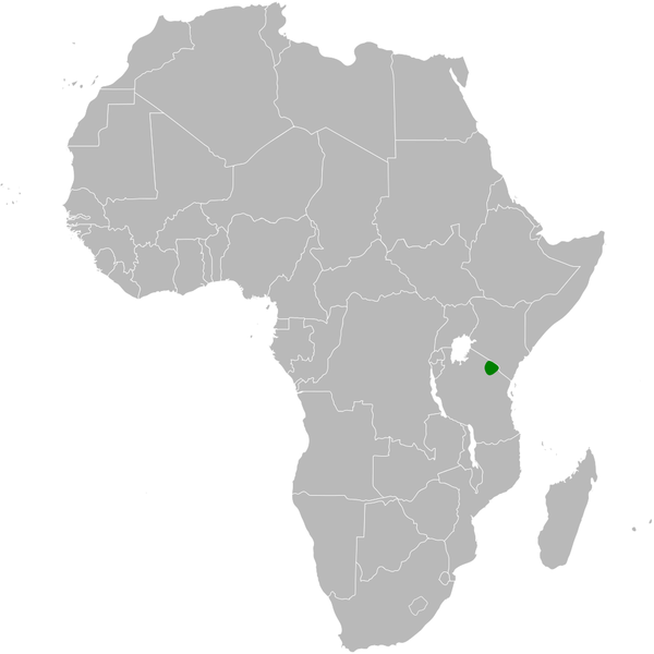 File:Chersomanes beesleyi distribution map.png
