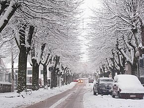 Circello (BN) Via Roma con la neve.JPG