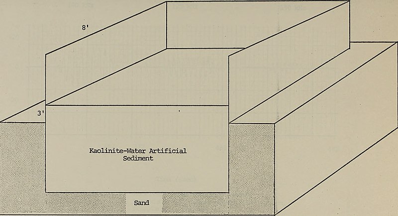 File:Compressional wave speed and absorption measurements in a saturated kaolinite-water artificial sediment. (1972) (20484416848).jpg