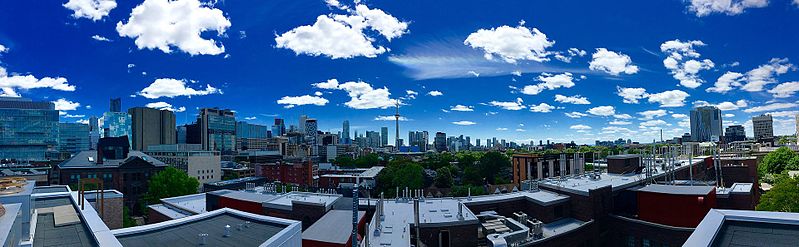 File:Concrete "Toronto" Jungle.jpg