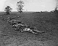 Confederate dead at Antietam 1862.[20]