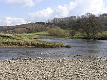 The confluence of Skirden Beck with the Ribble