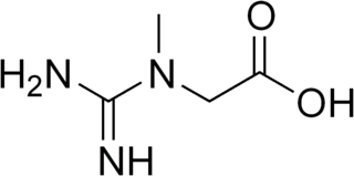 <span class="mw-page-title-main">Arginine:glycine amidinotransferase deficiency</span> Medical condition