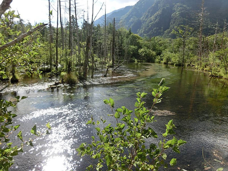 File:Dakesawa Marsh 01.JPG