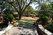 Pecan Grove Pumpkin Village