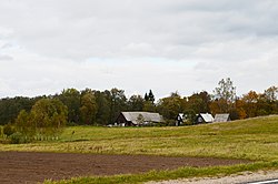 Daukantai (Telšių).JPG