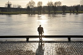 De IJssel bij Deventer, Wellekade