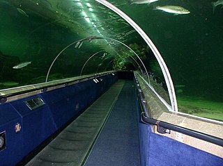 <span class="mw-page-title-main">Deep Sea World</span> Aquarium in Fife, Scotland