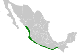 Distribución geográfica del copetón piquiplano.