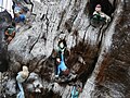 The Elfin oak in Kensington Gardens, finished in 1930. [18]