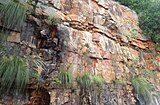 Detrital rocks of Tirumala Hills Ghatroad Tirupati.JPG