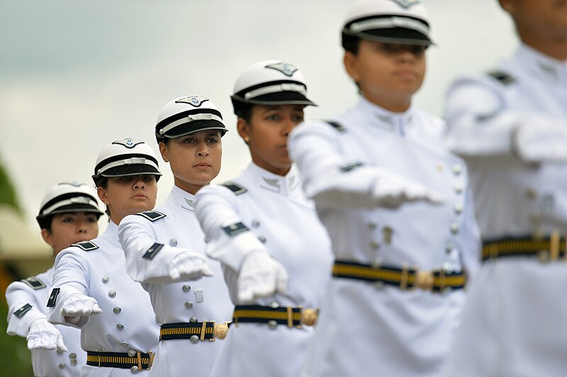 File:Dia do Aviador e da Força Aérea fli tr (30388137531).jpg