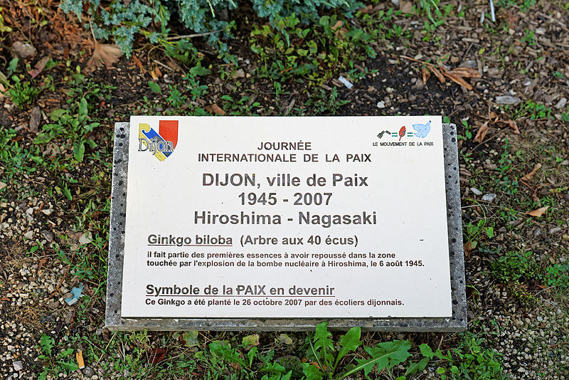 File:Dijon jardin japonais 07.jpg