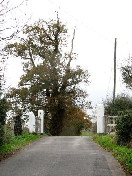 File:Disused railway line - level crossing - geograph.org.uk - 607265.jpg