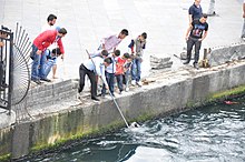 Rescuers using the "reach" method to rescue a drowning dog. This is even more effective with humans, who have hands. Dog rescued from drowning - Eminonu (8393806857).jpg