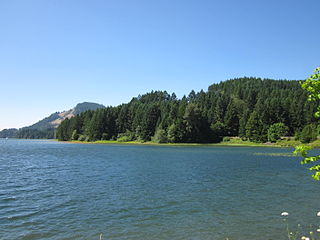 <span class="mw-page-title-main">Dorena Reservoir</span> Reservoir in Oregon, United States