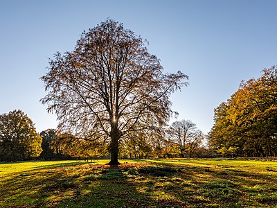 Dülmen, Wildpark -- 2020 -- 3427