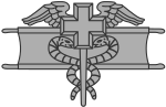 Expert Field Medical Badge (EFMB) (delas ut till kvalificerade sjukvårdare)