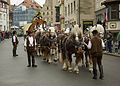 Rheinisch-Deutsche Kaltblüter vor einem sechspännigem Bierwagen