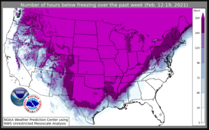 12-19 februarie 2021 harta orelor la sau sub temperaturi de îngheț.png