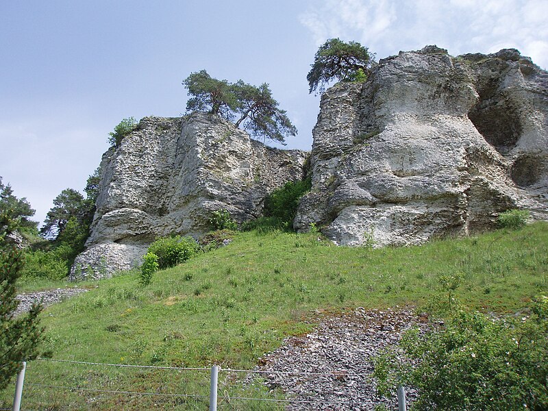 File:Felsgruppe Zwölf Apostel bei Solnhofen.jpg